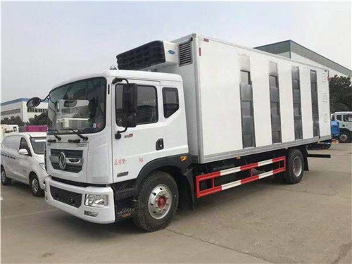 東風(fēng)多利卡D9型6.8米雛禽運(yùn)輸車